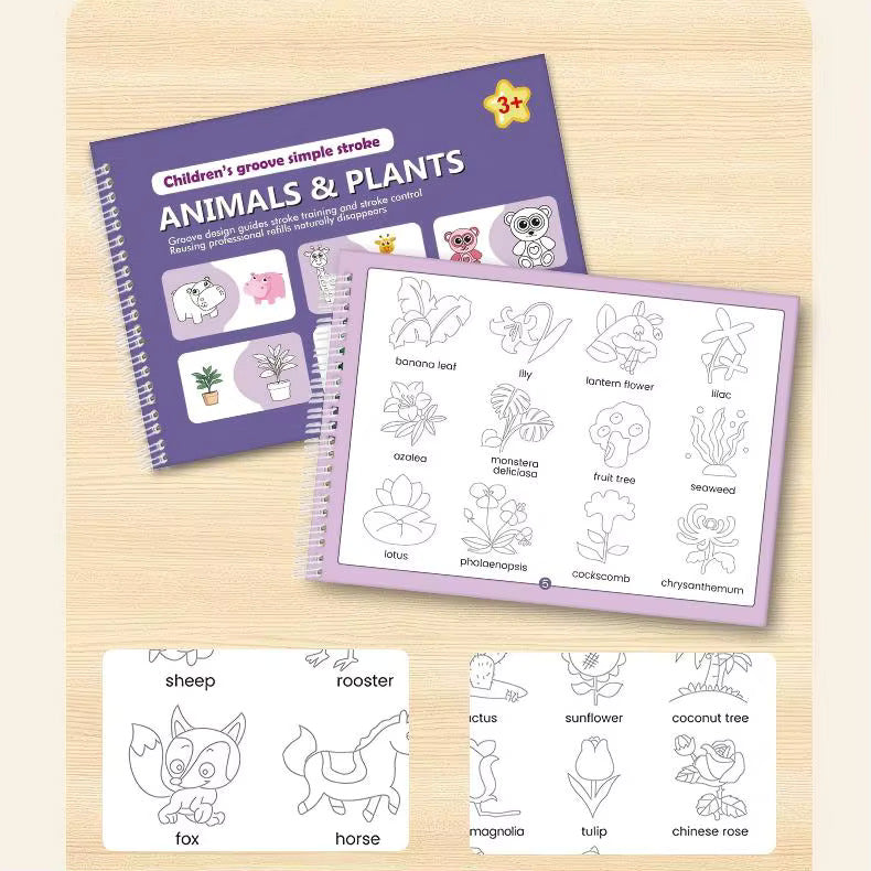 Helping Your Child Write Better — Deluxe 6-Book Edition